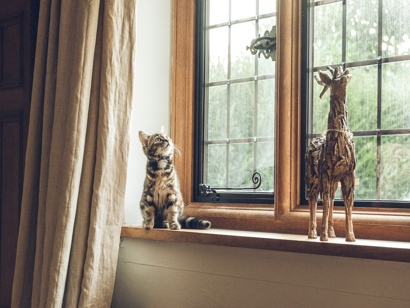 how to clean aluminum clad windows_2