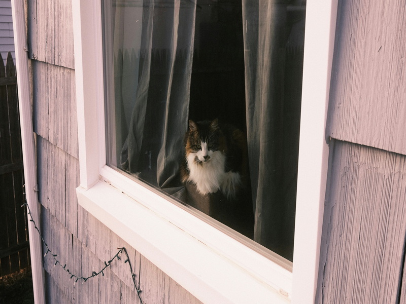 Leading Aluminum Windows Suppliers France